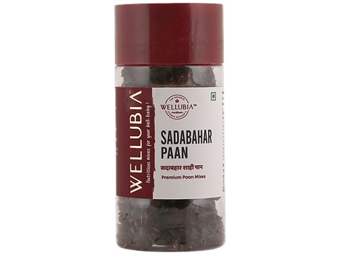 Wellubia Sadabahar Shahi Paan Mukhwas - Premium Aromatic Mix, After Meal Mouth Freshener, 100 g