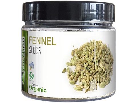 Earthon Organic Fennel Seeds/Sauf, 100 g