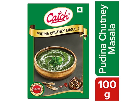 Catch Pudina Chutney Masala - Enhances Flavour, 100 g
