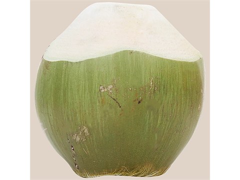 fresho! Tender Coconut, 1 pc