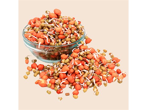fresho! Mixed Gram Sprouts, 200 g