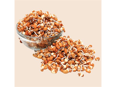 fresho! Mataki Sprouts, 200 g