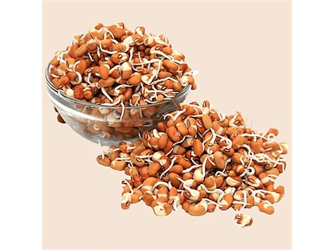 fresho! Mataki Sprouts, 200 g