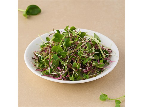 fresho! Mix (Red Amaranthus +  Sunflower + Turnip + White Radish) - Microgreen, 50 g
