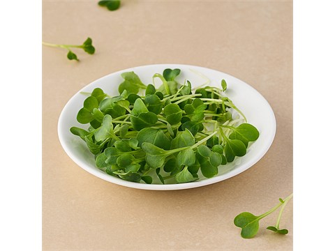fresho! White Radish - Microgreen, 20 g