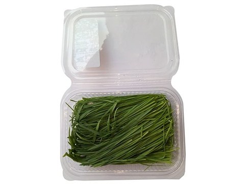 Trikaya Wheatgrass, 1 pc