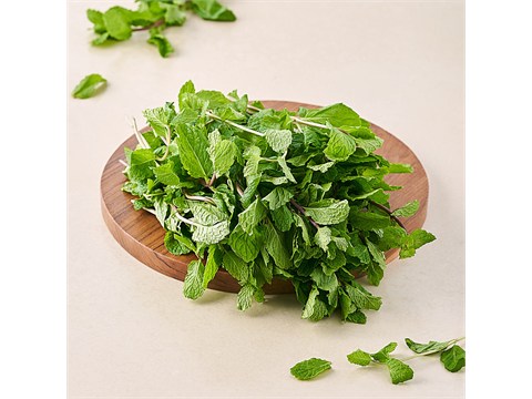 fresho! Mint - Hydroponically Grown, 100 g
