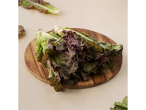 fresho! Red Lettuce, 1 pc
