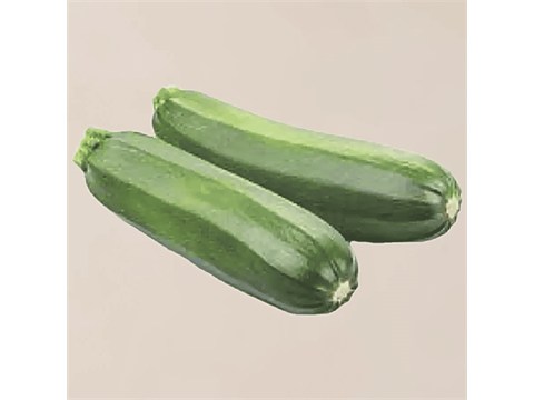 fresho! Zucchini - Hydroponically Grown, Green, 1 pc