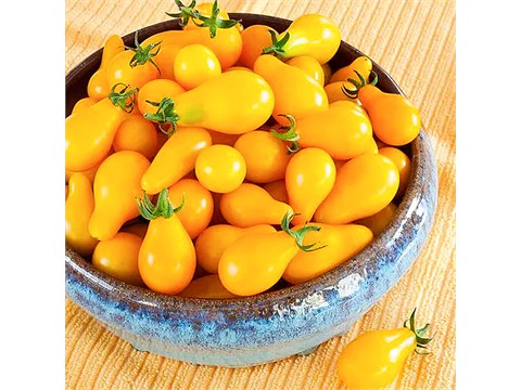 fresho! Tomato Cherry - Yellow, Hydroponically Grown, 150 g