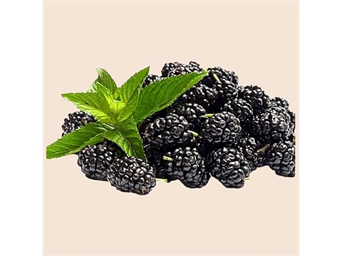 fresho! BlackBerry - Imported, 125 g