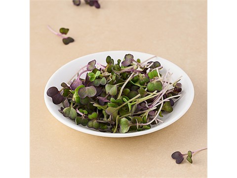 fresho! Purple Sago Radish - Microgreen, 20 g