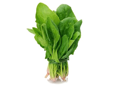Farmogo Spinach - Hydroponically Grown, 200 g - 250 g