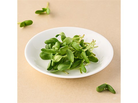 fresho! Sunflower - Microgreen, 20 g
