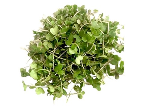 fresho! Mustard Microgreens, 50 g
