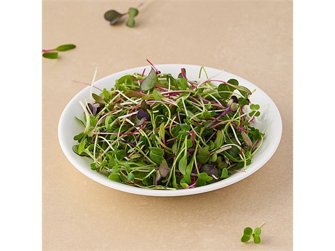 fresho! Mix (Purple Sango Radish + Spinach + Mustard + Beetroot) - Microgreen, 50 g