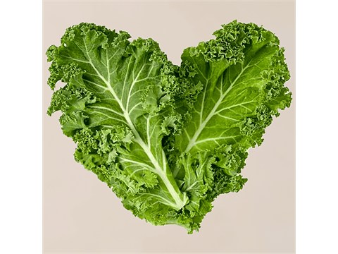 fresho! Kale Mix - Hydroponically grown, 100-120 g