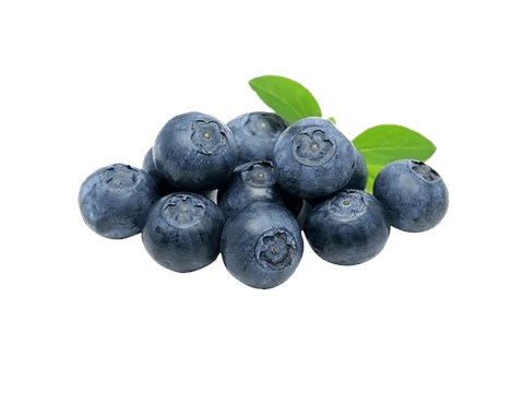 fresho! Blueberry, 100 g