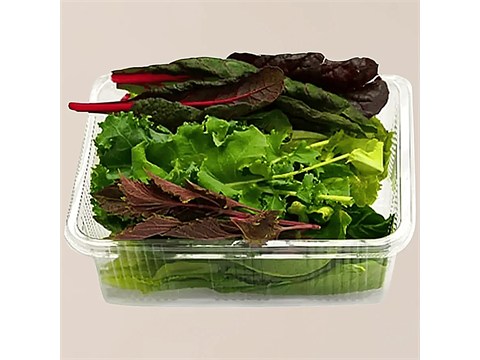 fresho! Salad Box - Hydroponically Grown, 160 g