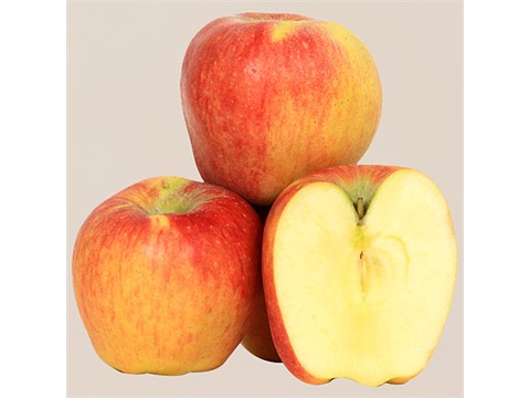fresho! Kashmir Apple, 1 kg