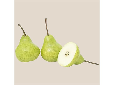fresho! Indian Pear - Premium, Institutional, 1 kg