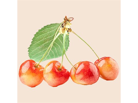 fresho! Kashmir Cherry, 1 Pack