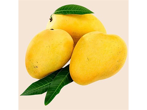 fresho! Lakshman Bhog Mango, 1 kg