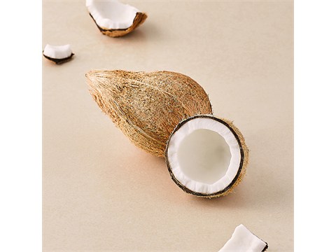 fresho! Coconut Small - With Husk, 1 pc