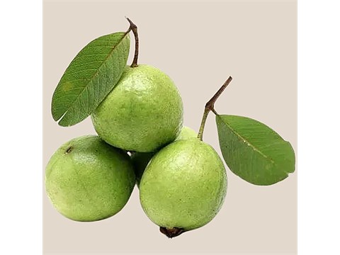 fresho! Guava - Premium, 1 kg
