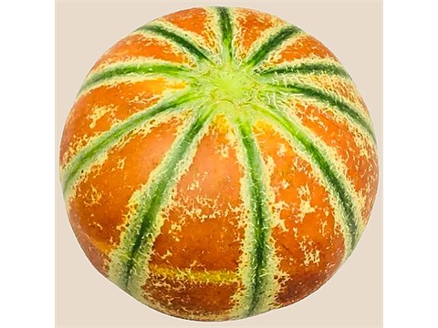 fresho! Muskmelon - Striped, Kajari, 1 pc