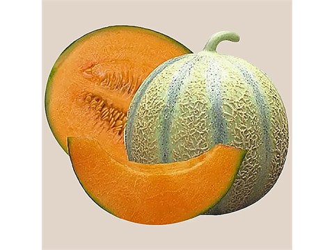 fresho! Gayatri Muskmelon, 1 pc