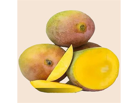 fresho! Mango - Sindhura Lalbagh, 6 PCS(900g to 1200g)