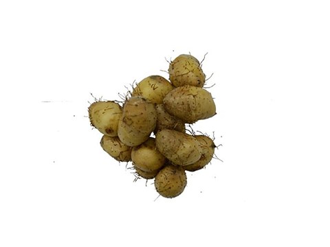 fresho! Suthni, 250 g