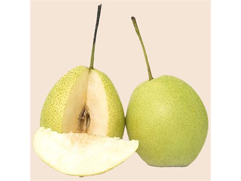 fresho! Pear - Nakh, Indian, 500 g