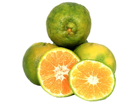 fresho! Nagpur Orange - Economy, 1 kg