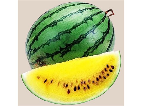 fresho! Crimson Yellow Watermelon, 1 pc