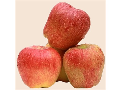 fresho! Kashmir Apple - Regular, 6 pcs
