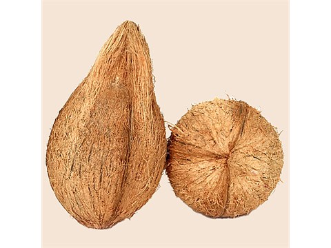 fresho! Coconut - Small, 1 pc