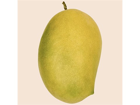fresho! Jardalu Mango, 1 kg