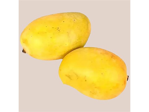 fresho! Kesar Mango - Organically Grown, 1 kg