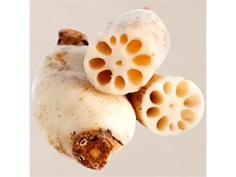 fresho! Lotus Stem, 1 kg