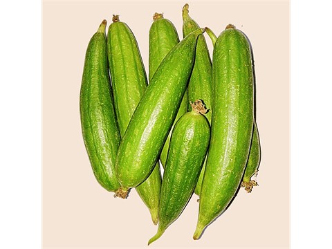 fresho! Ridge Gourd - Small, 1 kg