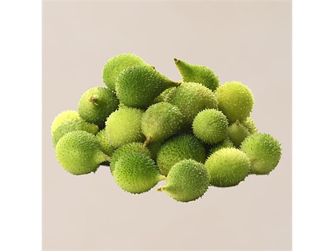fresho! Spine Gourd, 500 g