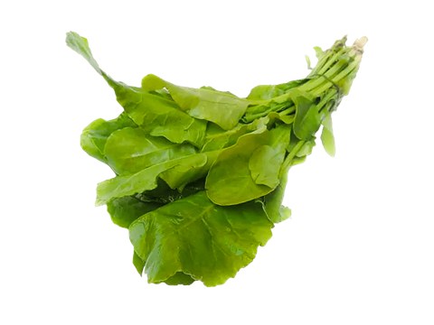fresho! Palak - With Roots, 1 bunch