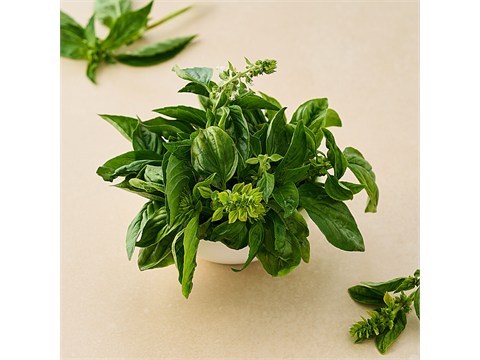 fresho! Basil - Italian, 50 g