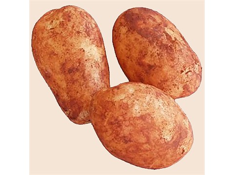 fresho! Storage Potato, 1 kg