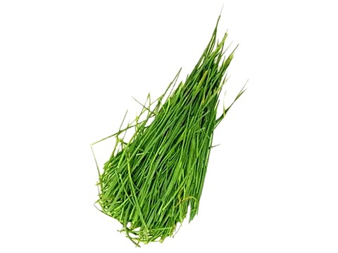 fresho! Garlic Chives, 200 g
