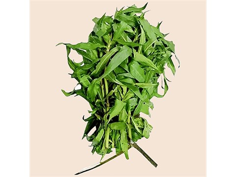 fresho! Hygrophila Spinosa - Kulekhara, 250 g