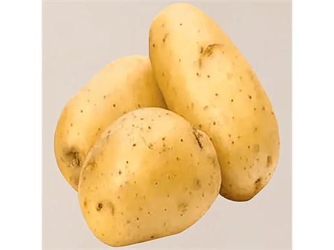 fresho! Potato - Chandramukhi, 1 kg