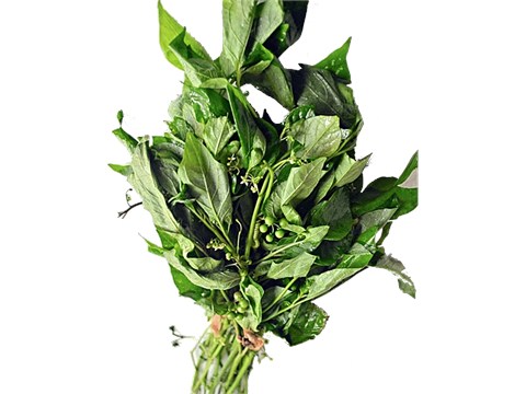 fresho! Karonda Leaves/Manathakkali Keerai, 250 g